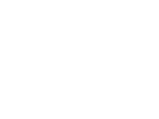 Salonpas Logo